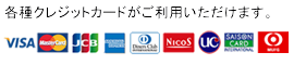 各種カード使えます。 ※手数料が加算されますのでご了承ください。